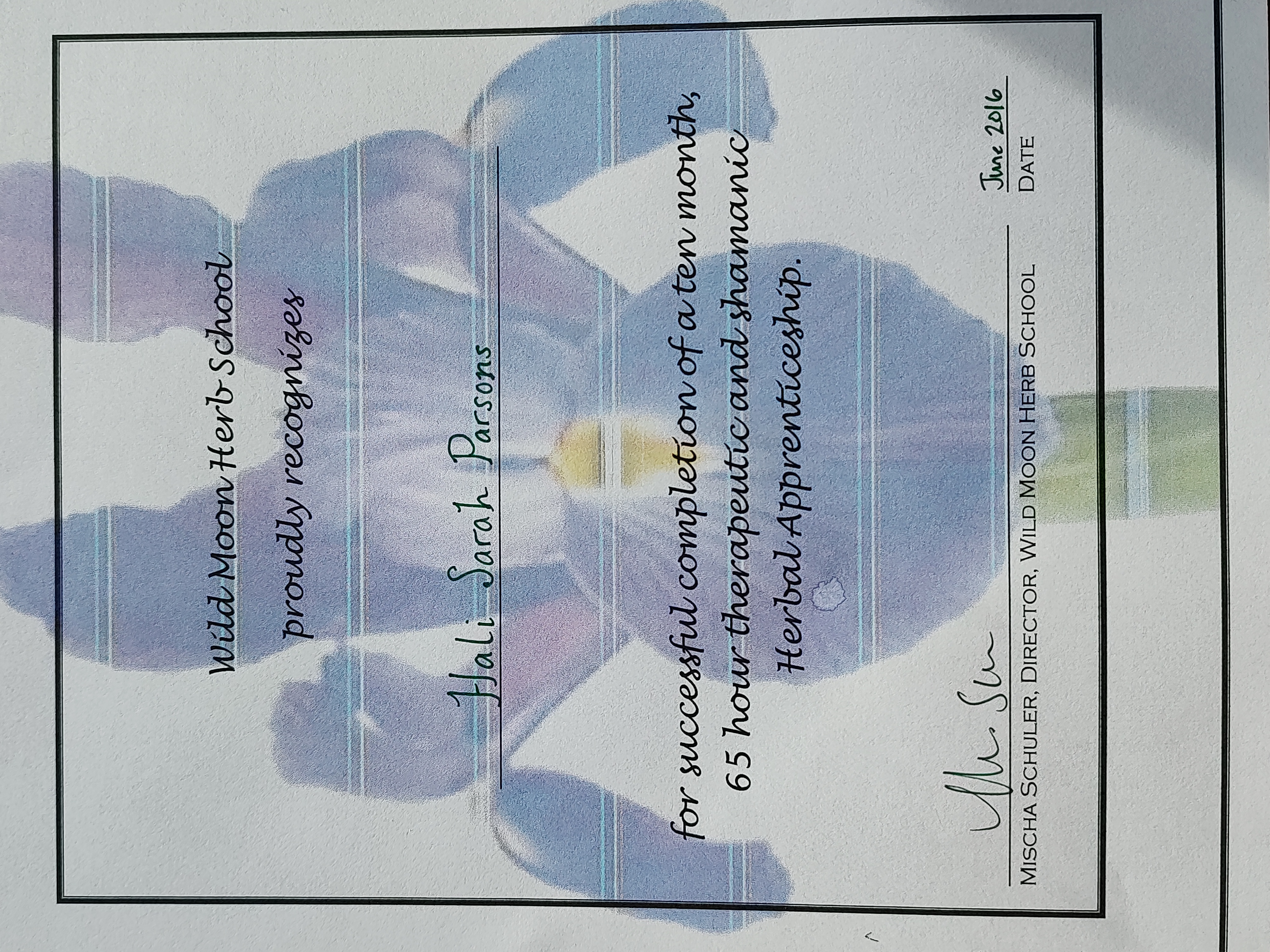 Wild Moon Herbs — Shamanic Herbalism Apprenticeship Certificate